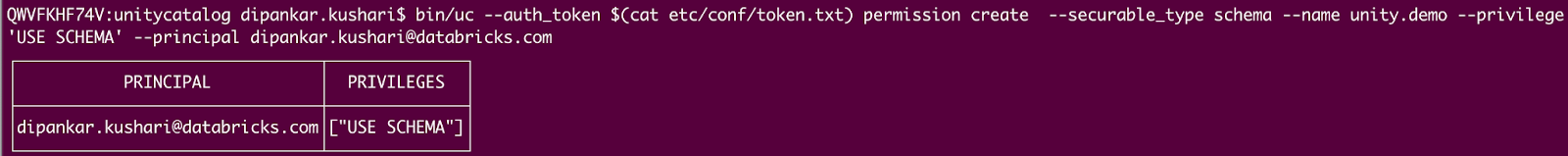 Command line interface showing a Databricks Unity Catalog command that assigns the &#x27;USE SCHEMA&#x27; privilege to the principal &#x27;dipankar.kushari@databricks.com&#x27; for the schema &#x27;unity.demo&#x27;.